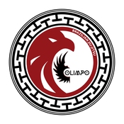 LOGO DA EQUIPE OLIMPO BRAZILIAN JIU-JITSU - SANTANA DO LIVRAMENTO-RS