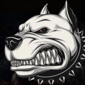 LOGO DA EQUIPE PITBULL TEAM - BELO HORIZONTE-MG