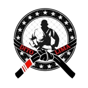 LOGO DA EQUIPE CT DITO LIMA - AMERICO BRASILIENSE-SP