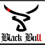 BLACK BULL TEAM