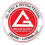 GRACIE BARRA LUZIANIA CENTRO