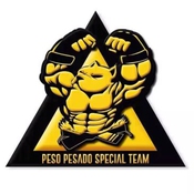 LOGO DA EQUIPE PESO PESADO TEAM - SAO PAULO-SP