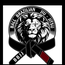 BALL BRAZILIAN JIU-JITSU