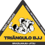 TRIANGULO BJJ