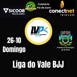 P2458-LIGA DO VALE BJJ 2 - EDICAO