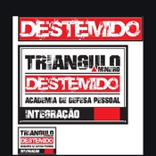 LOGO DA EQUIPE DESTEMIDOS - UBERLANDIA-MG